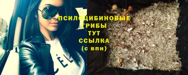 тгк Арсеньев